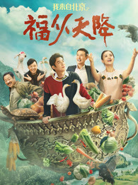 《了不得的盖茨比》电影高清完整版