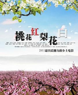 《芳华快车日记》电影高清完整版