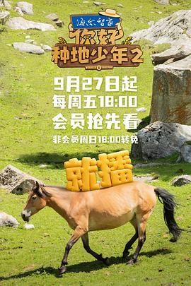 《成功之光 第三季》电视剧高清全集