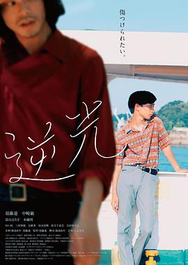 《少年派2》电视剧高清全集
