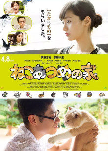 《海岸情深》电影高清完整版
