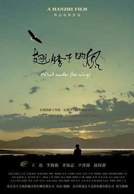 《我在温州等你》电影高清完整版