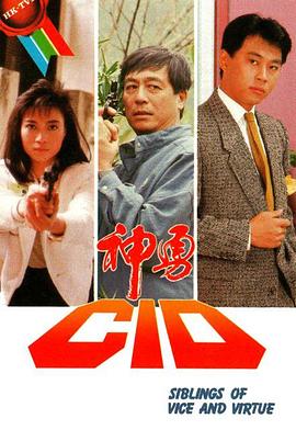 《芝加哥警署第八季》电视剧高清全集