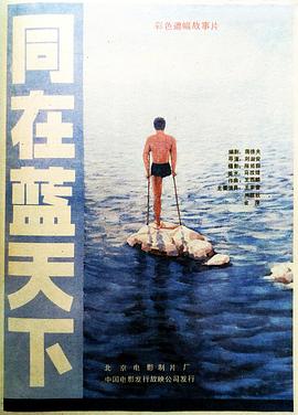 《五同伴历险记》电视剧高清全集