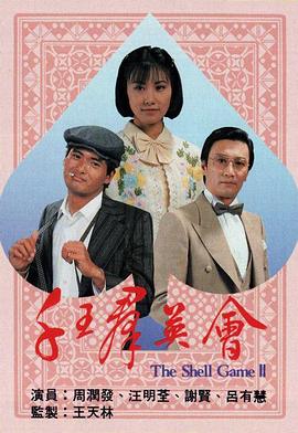 《雁回时》电视剧高清全集