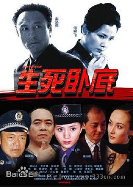 《女性领地》电视剧高清全集