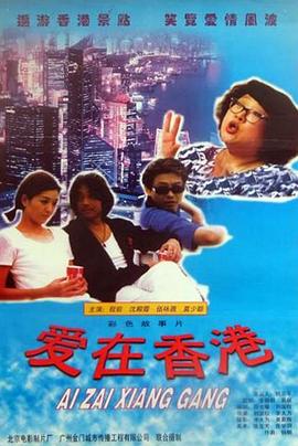 《爱情傻瓜》电影高清完整版