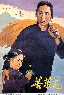 《玫瑰的战役》电视剧高清全集