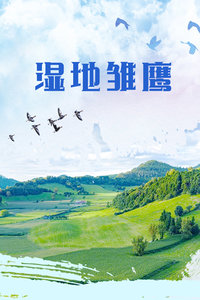 《猎枪往事》电影高清完整版