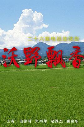《东边日出西边雨》电视剧高清全集