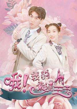 《正义任务》电视剧高清全集