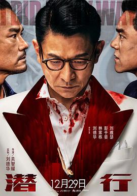 《一梦如初》电视剧高清全集