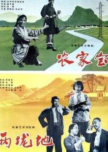 《柏婷娜小姐国语》电影高清完整版