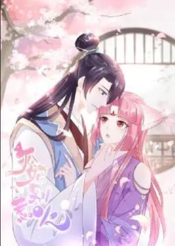 《新五女拜寿》电视剧高清全集