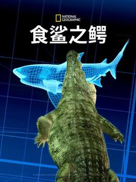 《一见不钟情》电视剧高清全集
