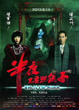 《孪生陌生人》电影高清完整版