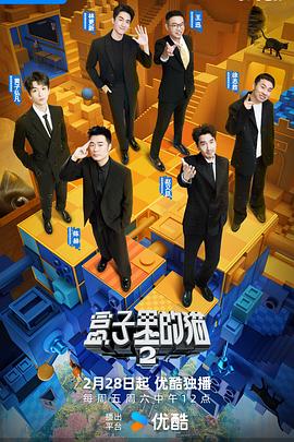 《天鹅纹章》电视剧高清全集
