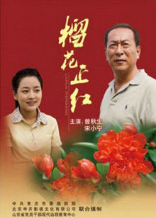 《美国谍梦第六季》电视剧高清全集