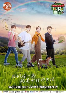 《乌龙闯情关》电视剧高清全集