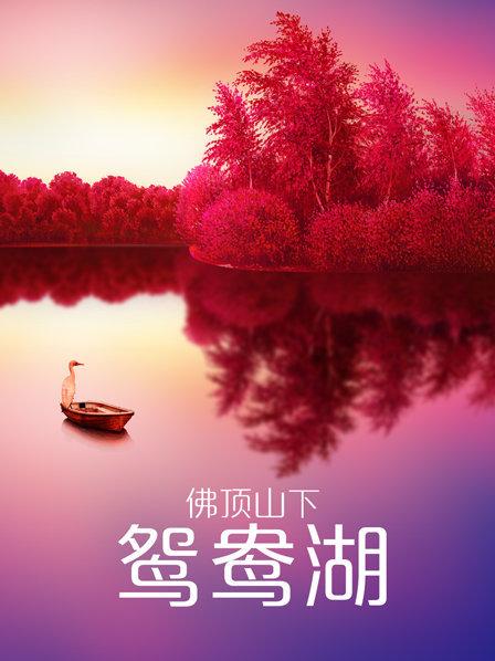 《前锋2019》电影高清完整版