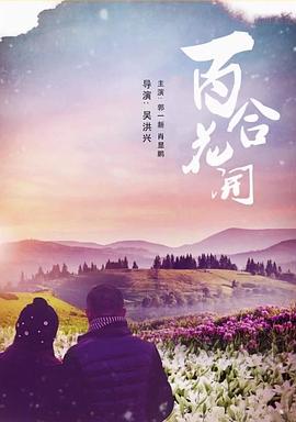 《9号电话亭的隐秘》电视剧高清全集