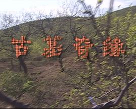 《天主之手》电影高清完整版