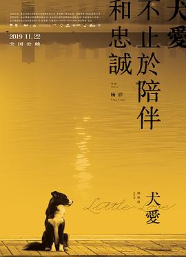 《国际的旮旯是晚餐》电视剧高清全集