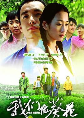 《美国制作1966》电影高清完整版