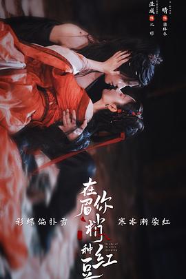 《孤岛寻踪【影视说明】》电影高清完整版