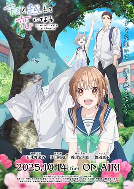 《忍者神龟第五季》动漫高清全集