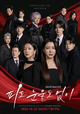 《五百万美元的大丈夫》电影高清完整版