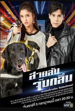 《山花绚丽时2016》电影高清完整版