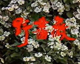 《告密者2010》电视剧高清全集