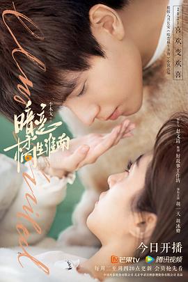 《爱在路上》电视剧高清全集