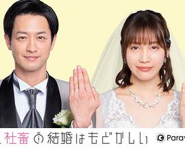 《大猿魂特别篇》动漫高清全集
