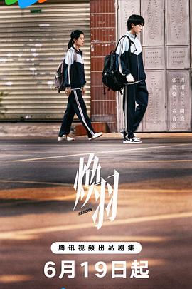 《特别使命》电视剧高清全集
