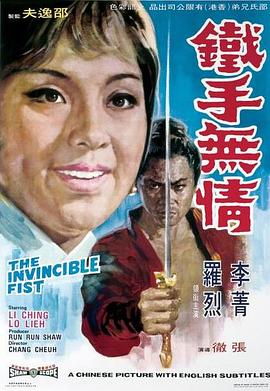 《任长霞2005》电视剧高清全集