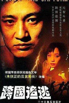 《寂静的美国人》电影高清完整版