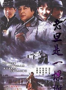 《被偷走的女孩》电视剧高清全集