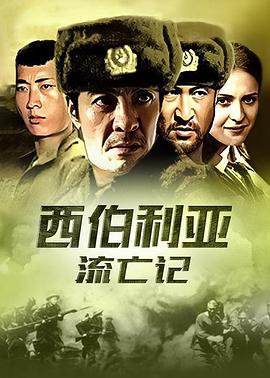 《变形金刚08动画版第一季》动漫高清全集