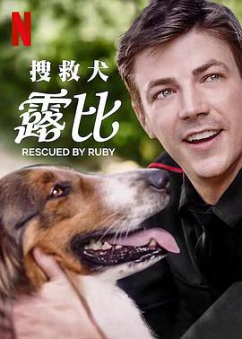 《钢铁森林》电视剧高清全集