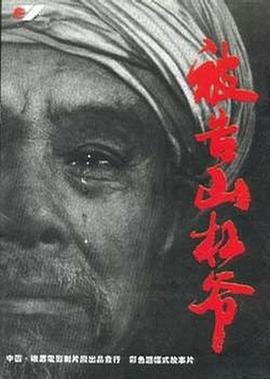 《罪美丽》电视剧高清全集