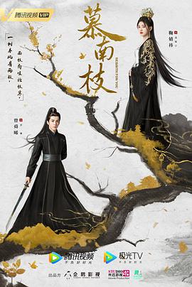 《没有曩昔的男人【影视说明】》电影高清完整版
