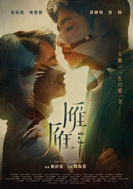 《铁面包公粤语》电视剧高清全集