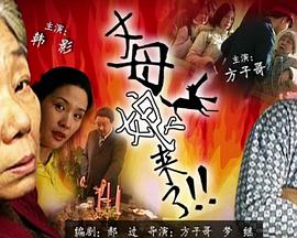 《客机空战》电影高清完整版