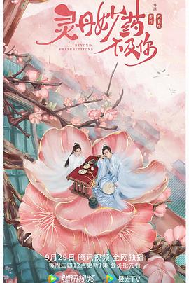 《金昭玉醉》电视剧高清全集