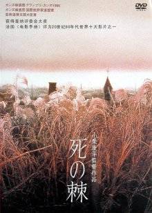 《天之赏赐》电影高清完整版