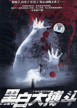 《传奇勇者》电视剧高清全集