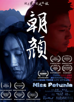 《星光灿烂：捡个boss做老公》动漫高清全集