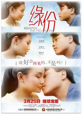 《亲子判定师手记》电视剧高清全集